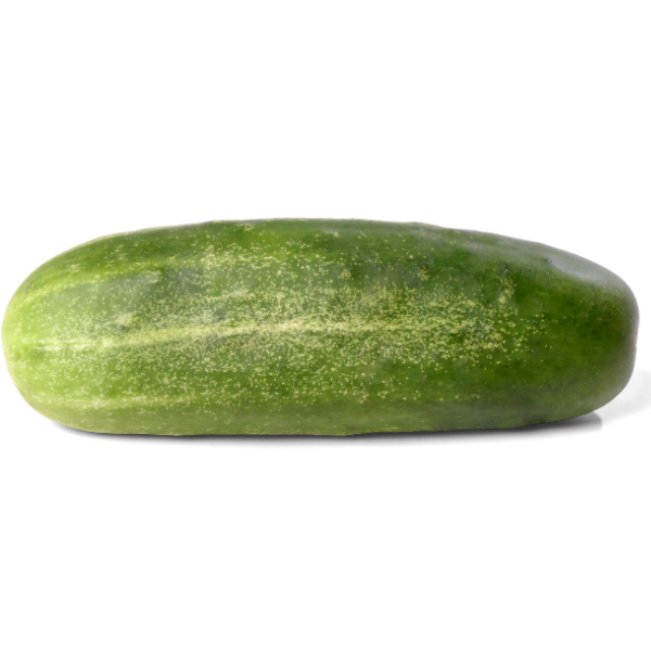 Concombre