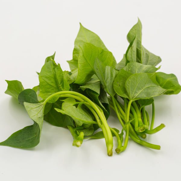 Feuille de patate