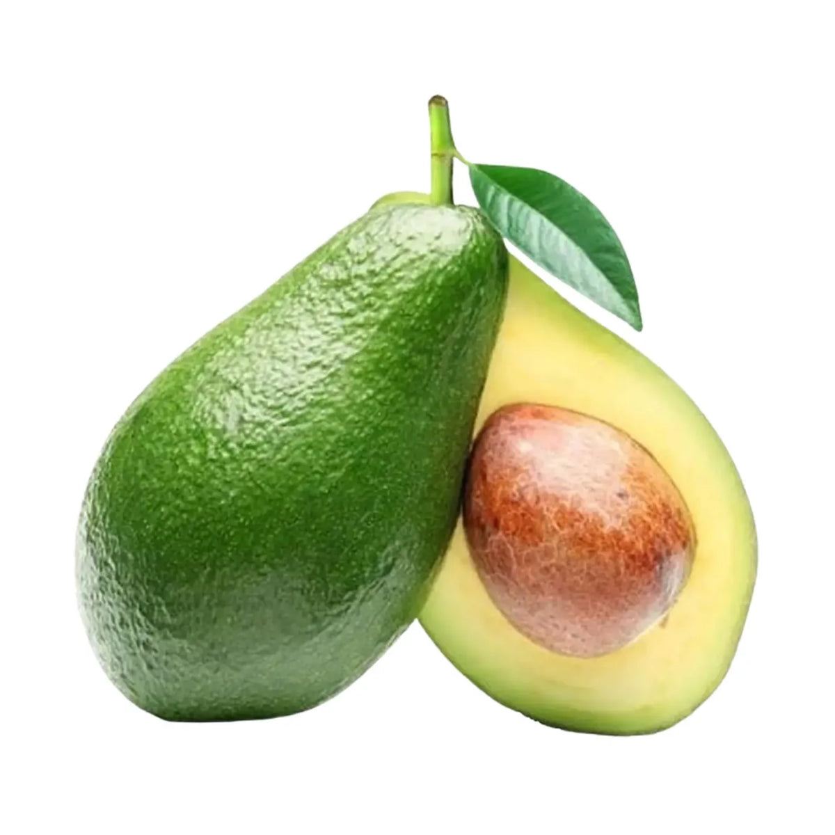 Avocat